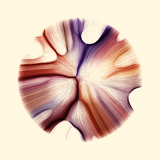 AB Gravity 12 #24